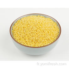 Millet vs sorghum